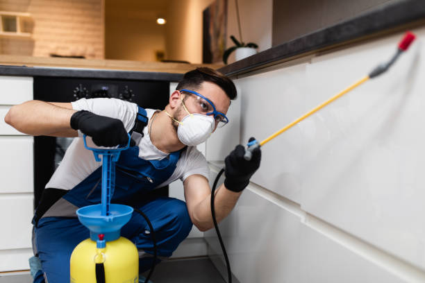 Best Cockroach Control Services  in East Valley, NV