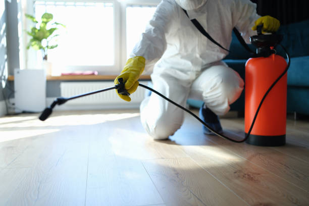 Professional Pest Control in East Valley, NV